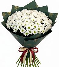 Букет цветов из:  Хризантемы #REPLACE_PRED# Новое