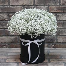 Цветочная композиция из Гипсофила в шляпной коробке #REPLACE_PRED# Новое